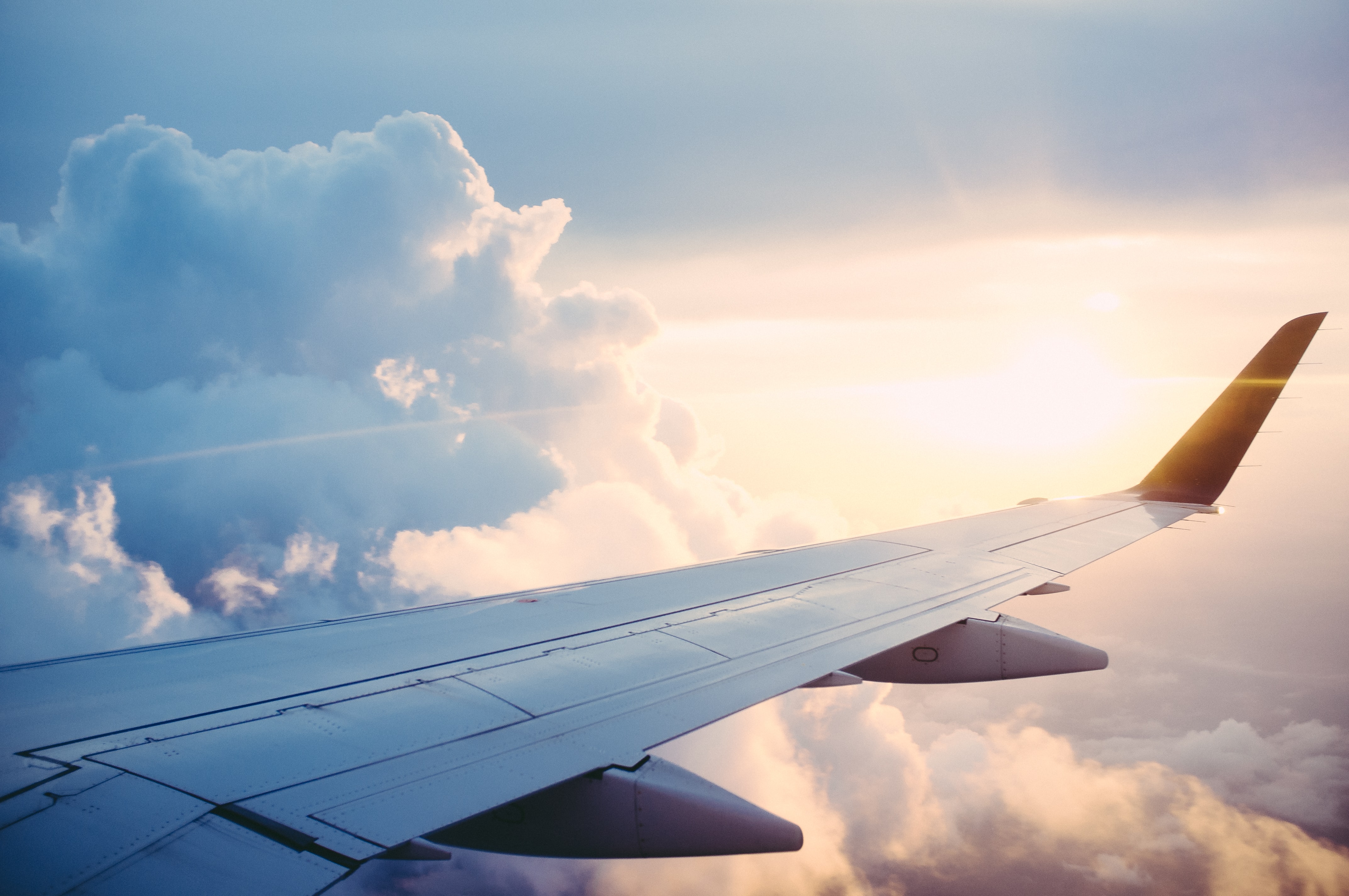 international flight banner