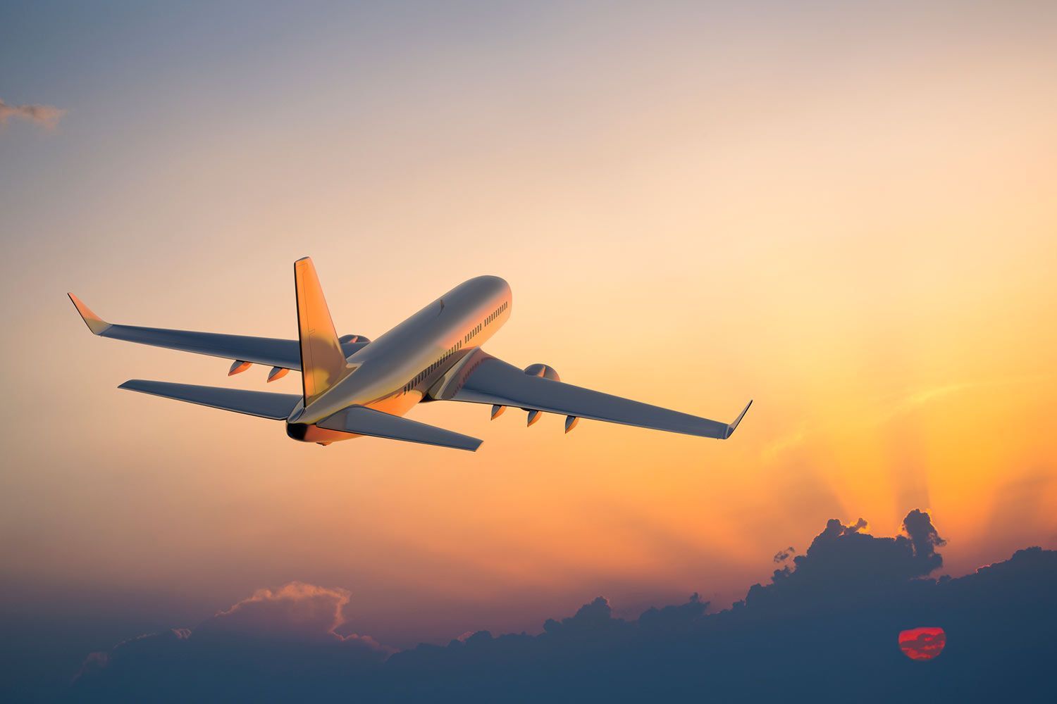 domestic flight banner